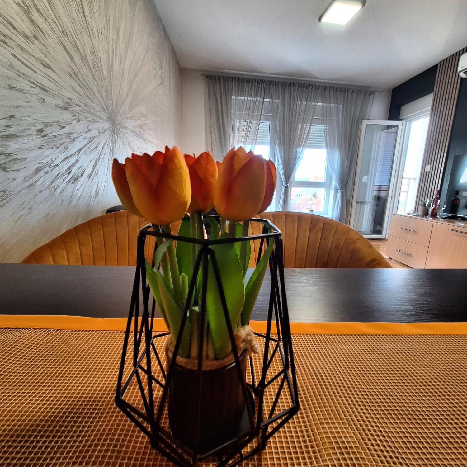 Appartamento Stan Na Dan Aurora Požarevac Esterno foto
