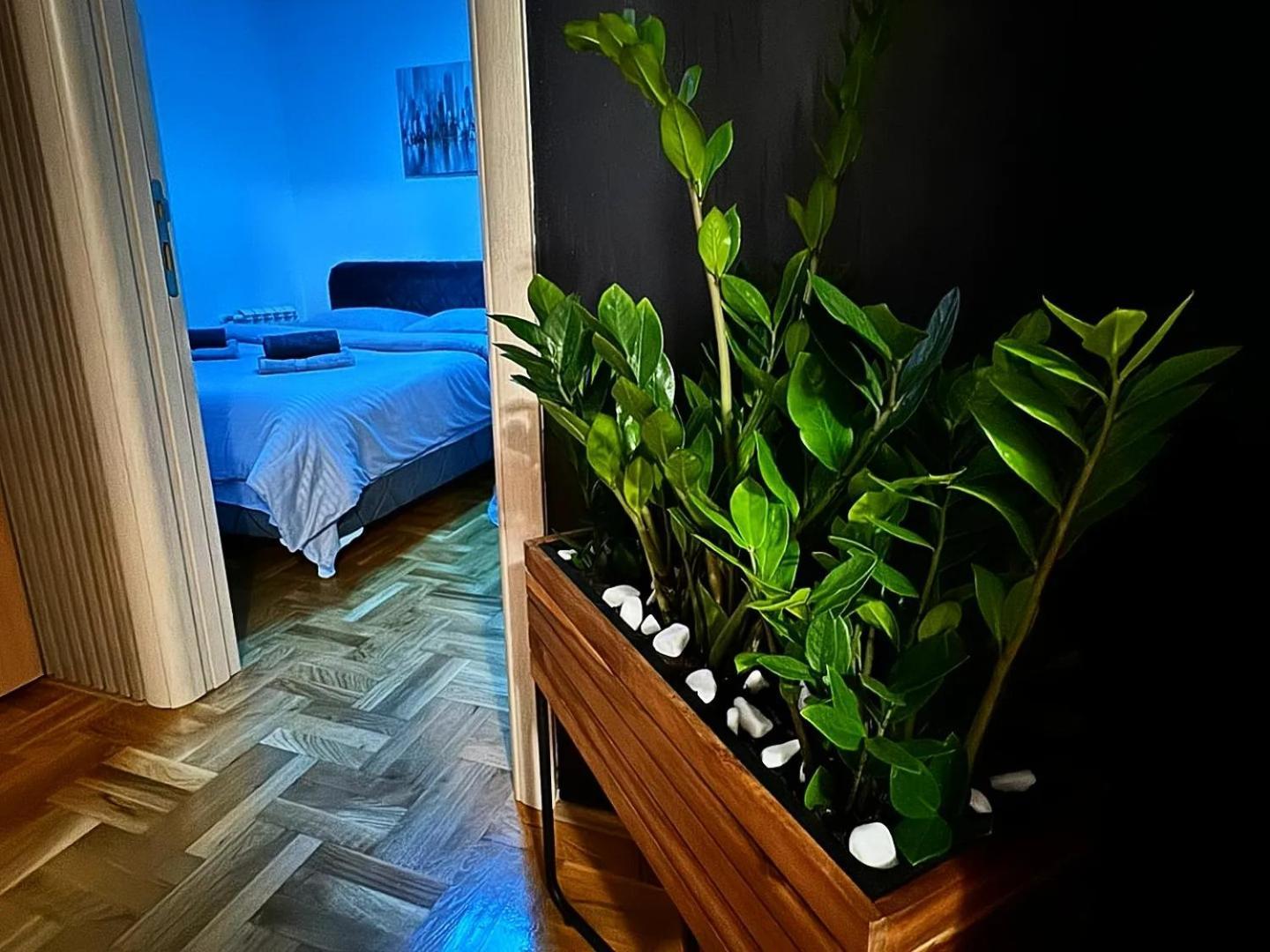 Appartamento Stan Na Dan Aurora Požarevac Esterno foto